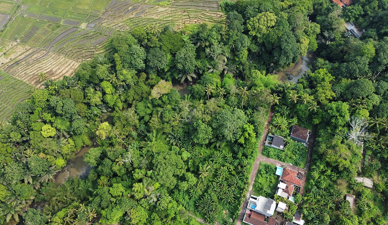 Tangeb-Bali-land-for-sale-VW-1008-b