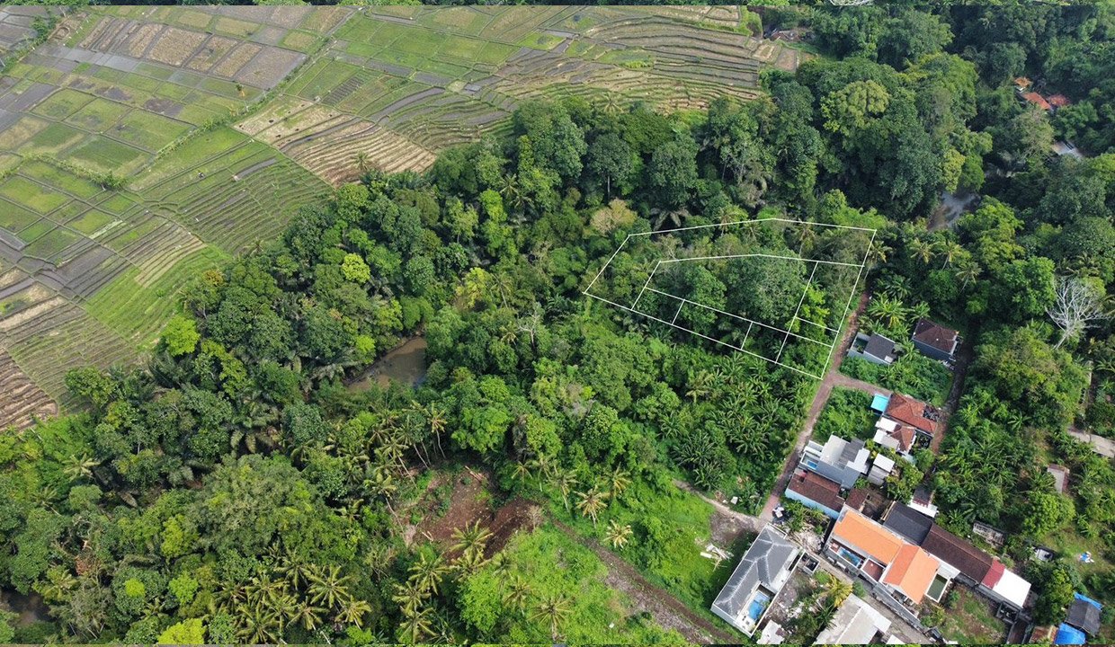Tangeb-Bali-land-for-sale-VW-1008-c