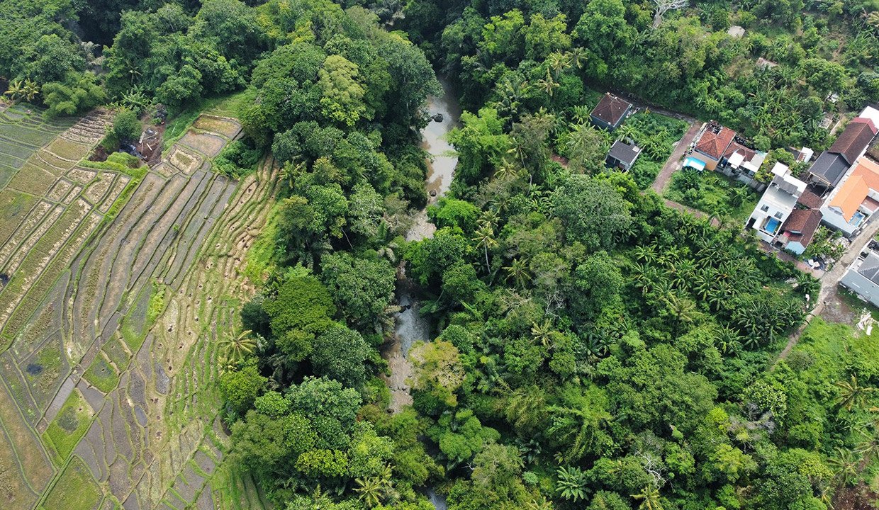 Tangeb-Bali-land-for-sale-VW-1008-d