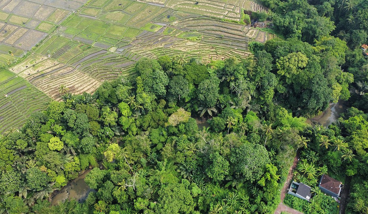 Tangeb-Bali-land-for-sale-VW-1008-e