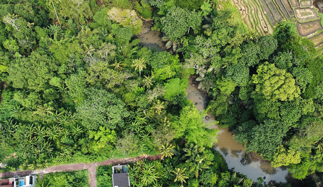 Tangeb-Bali-land-for-sale-VW-1008-h