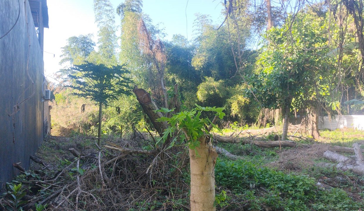 Land-for-lease-Nyanyi-YN-1005-b