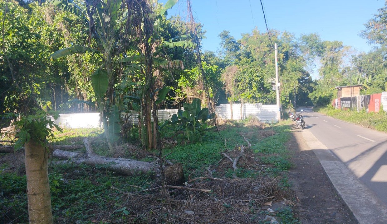 Land-for-lease-Nyanyi-YN-1005-d